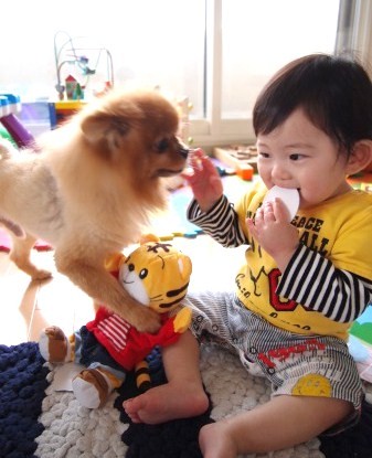 s_20130521185350.jpg