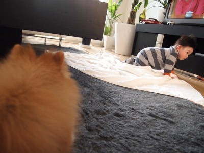 s_P1060154.jpg