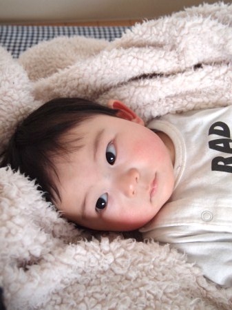 s_P3113558.jpg