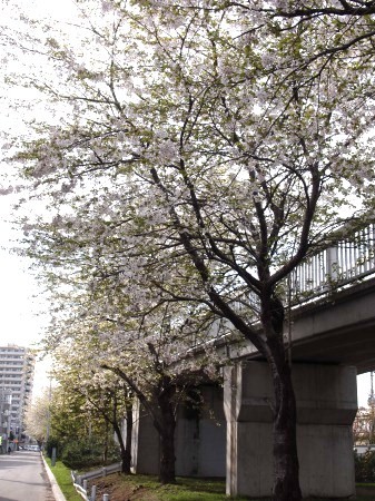 s_P5217095.jpg