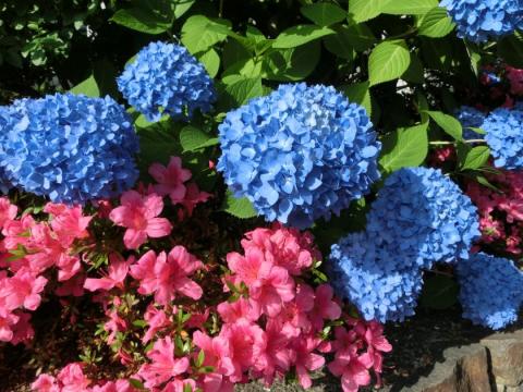 CIMG1594_convert_20120605110541.jpg