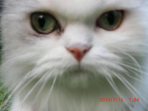 CIMG2039_convert_20120715165841.jpg