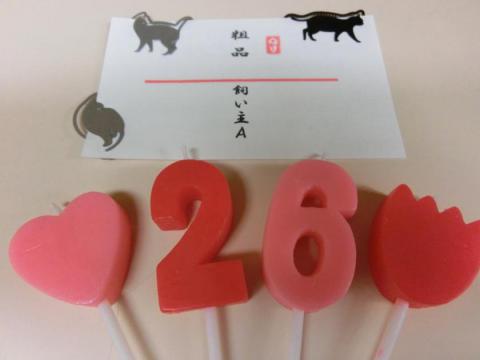 CIMG2043_convert_20120718110841.jpg