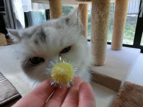 CIMG2328_convert_20120829113226.jpg