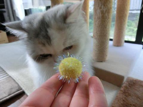CIMG2329_convert_20120829113140.jpg