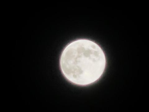 CIMG2386_convert_20120901103612.jpg