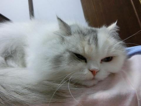 CIMG2816_convert_20121012133842.jpg