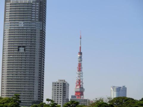 CIMG2974_convert_20121019112303.jpg