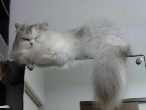CIMG3038_convert_20121025100344.jpg