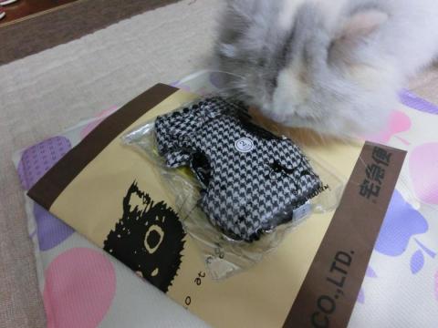 CIMG3069_convert_20121028094603.jpg