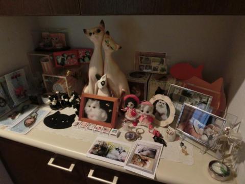 CIMG3136_convert_20121107132527.jpg