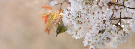 convert_20120606133134.jpg
