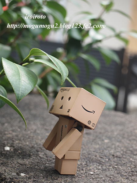 12danbo001.jpg