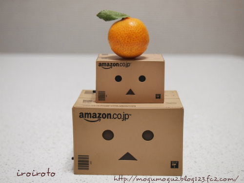 13danbo000.jpg