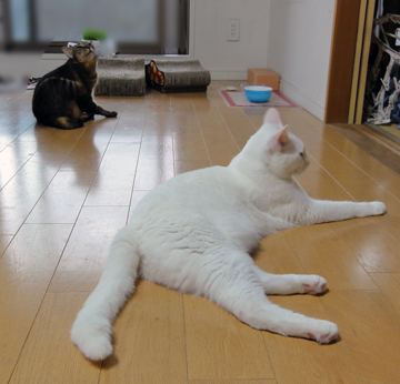 DSC00823000.jpg