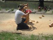 IMG_4506.jpg