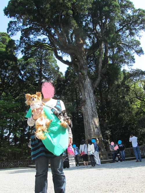130427_4.jpg