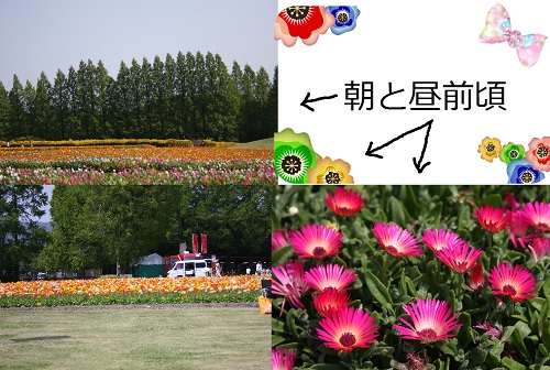 130428_1.jpg