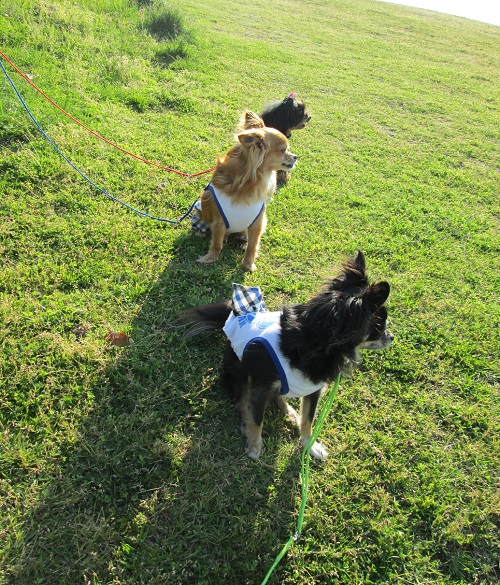130505_3.jpg