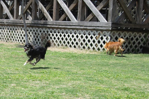 130506_2.jpg