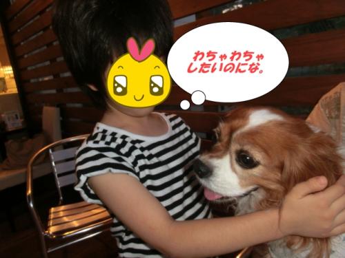 わちゃわちゃしたいー!