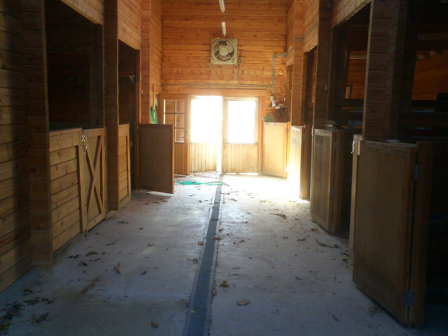 BeforeR202.jpg