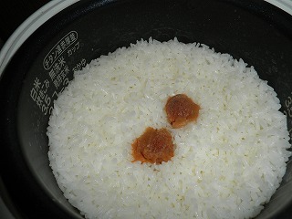 梅干しご飯