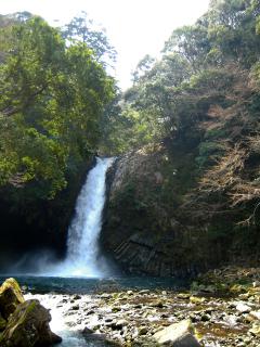 20120328_01.jpg