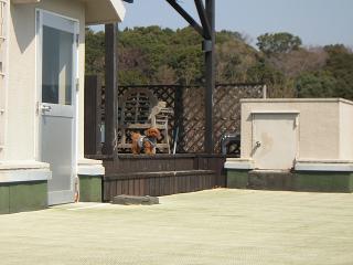 20120328_03.jpg