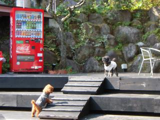 20120328_04.jpg