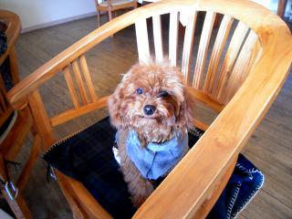 20120328_09.jpg