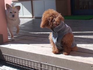 20120328_11.jpg