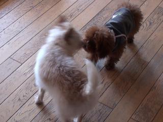 20120328_13.jpg