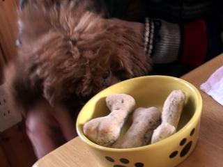 20120328_16.jpg
