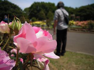 代々木公園