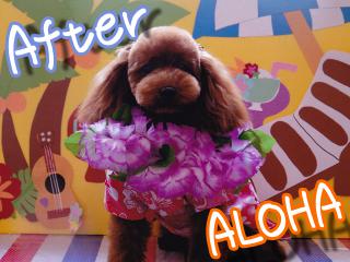 20120728_02.jpg