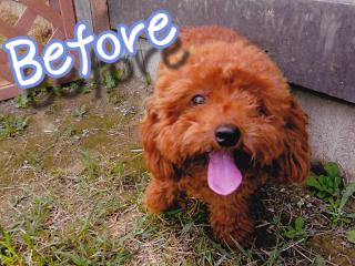 20120728_03.jpg