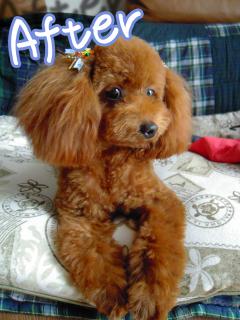 20120728_07.jpg