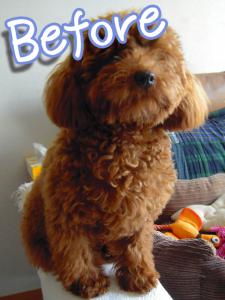 20120728_08.jpg