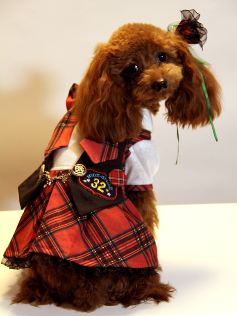 20121028_04.jpg