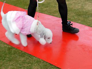 20121028_05.jpg