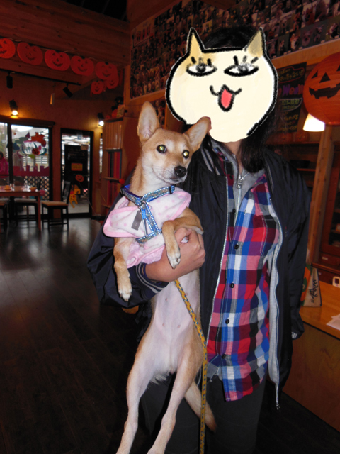 20121028_08.jpg