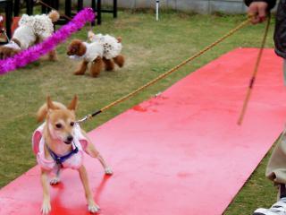 20121028_10.jpg