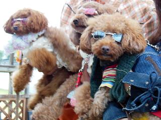20121028_11.jpg