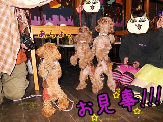 20121028_12.jpg