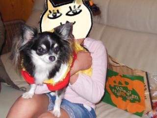 20121028_14.jpg