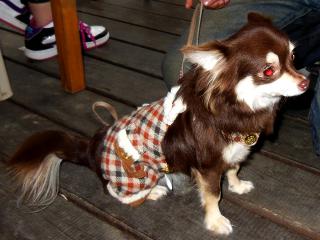 20121028_15.jpg
