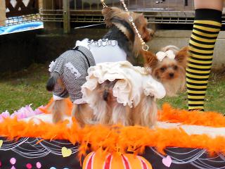 20121028_17.jpg