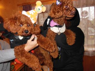 20121028_18.jpg