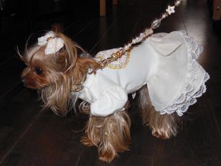20121028_19.jpg